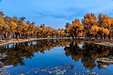 ATLUS新作《暗喻幻想：ReFantazio》介绍环游世界的目的和旅程